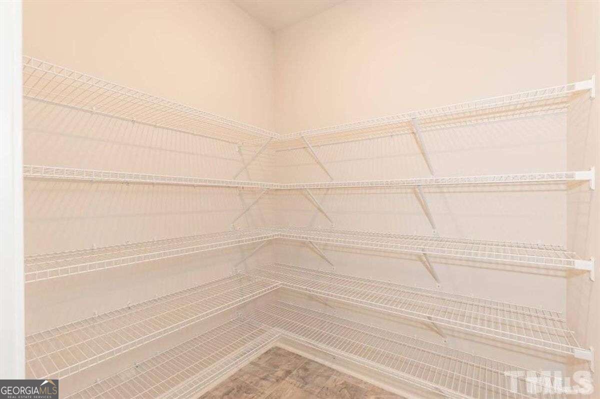 251 Eason Street Bowdon - 7