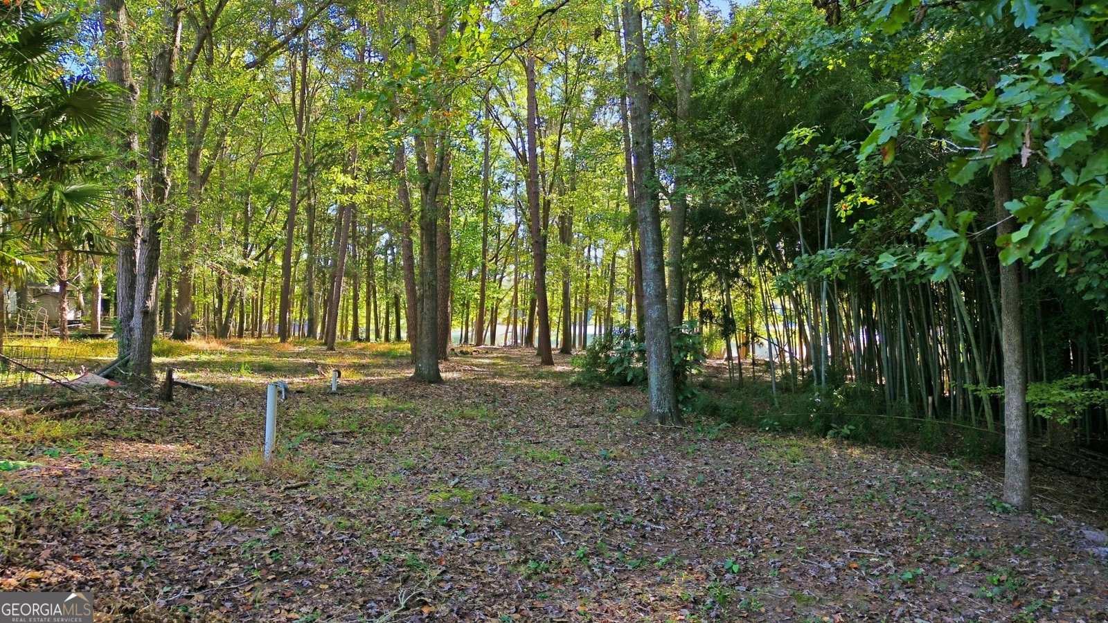 71 Lazy Day Lane Lavonia - 35