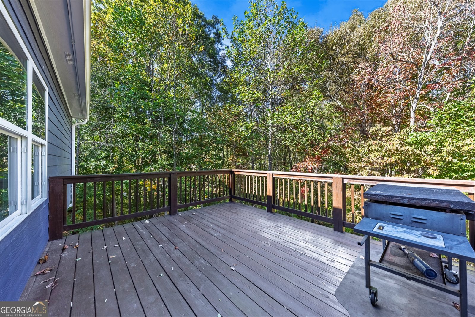 407 Wood Trace Ball Ground - 41