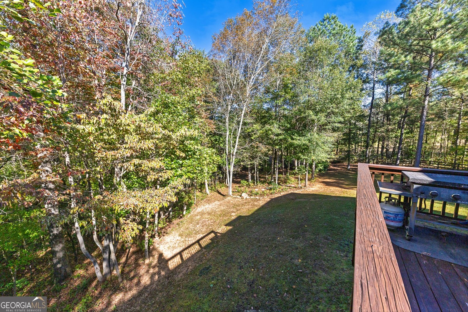 407 Wood Trace Ball Ground - 42