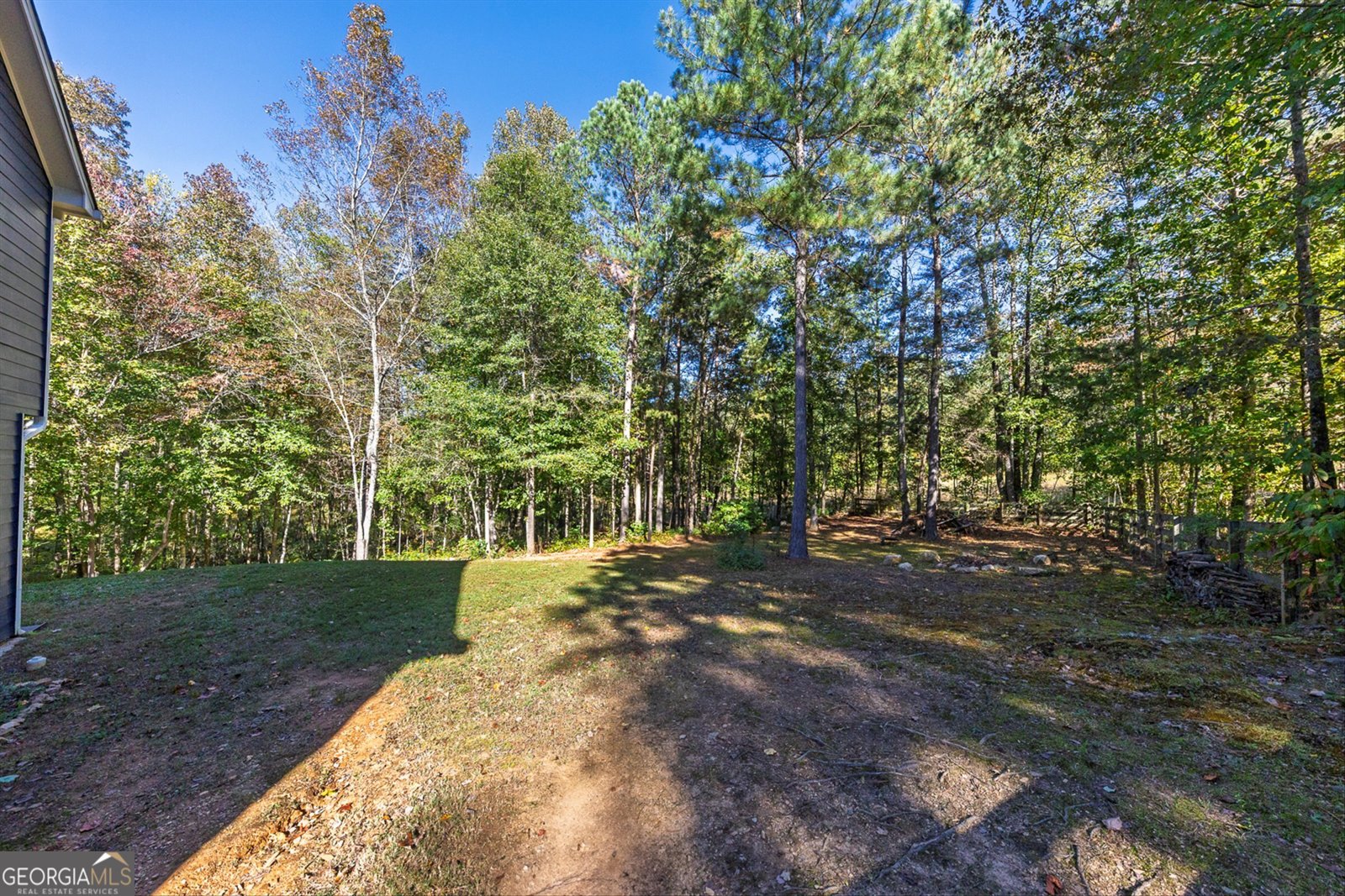 407 Wood Trace Ball Ground - 43