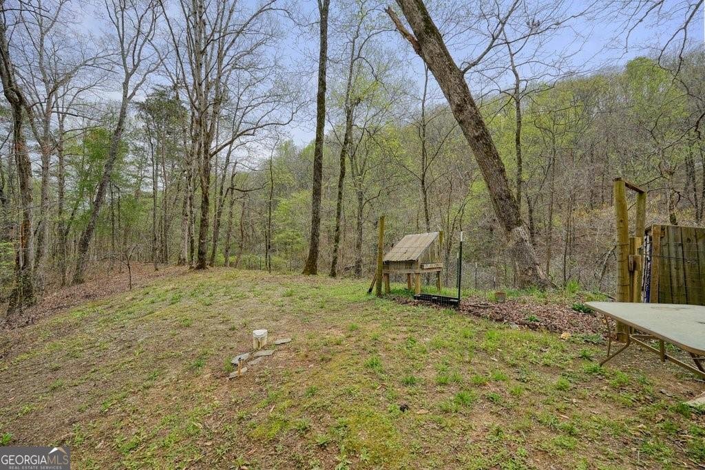 2232 Burnt Mountain Road Jasper - 11