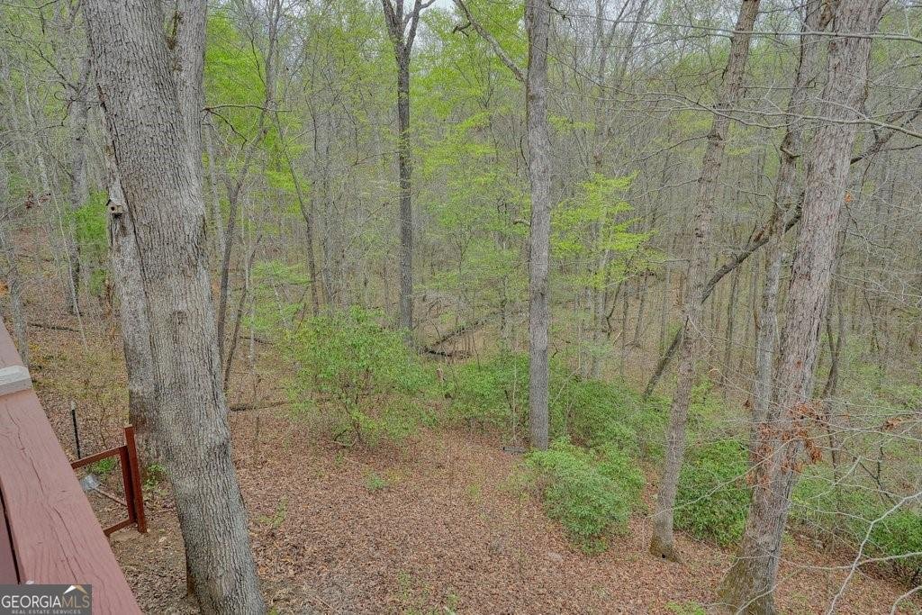 2232 Burnt Mountain Road Jasper - 4