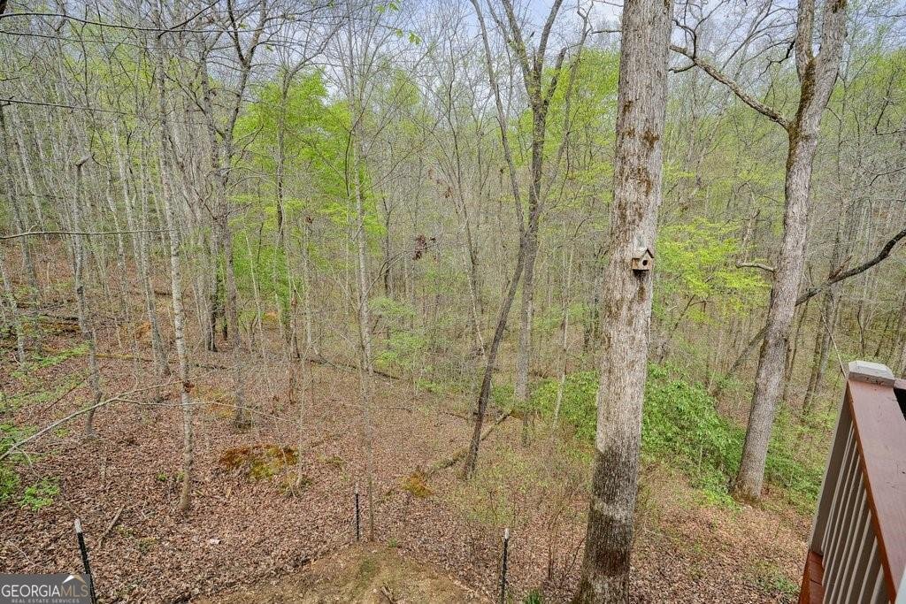 2232 Burnt Mountain Road Jasper - 5