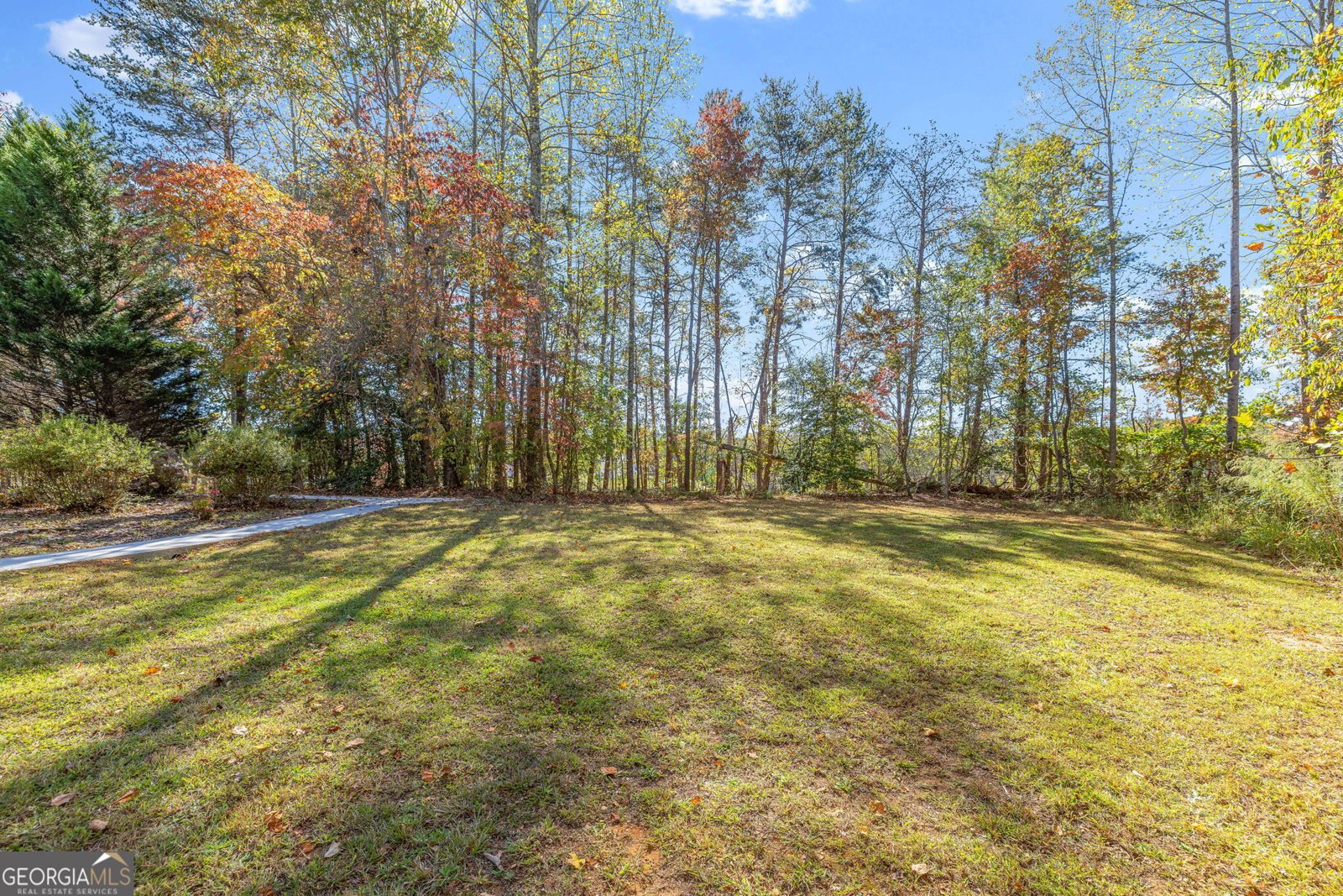 161 Springbrook Drive Cornelia - 28