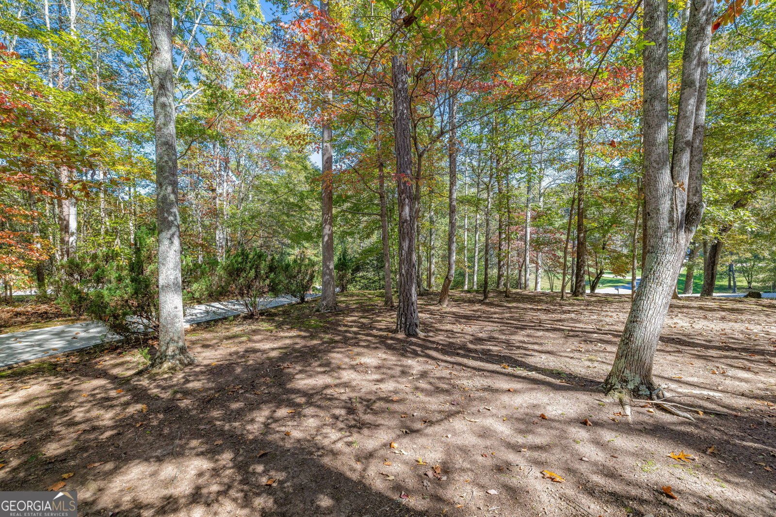 161 Springbrook Drive Cornelia - 29