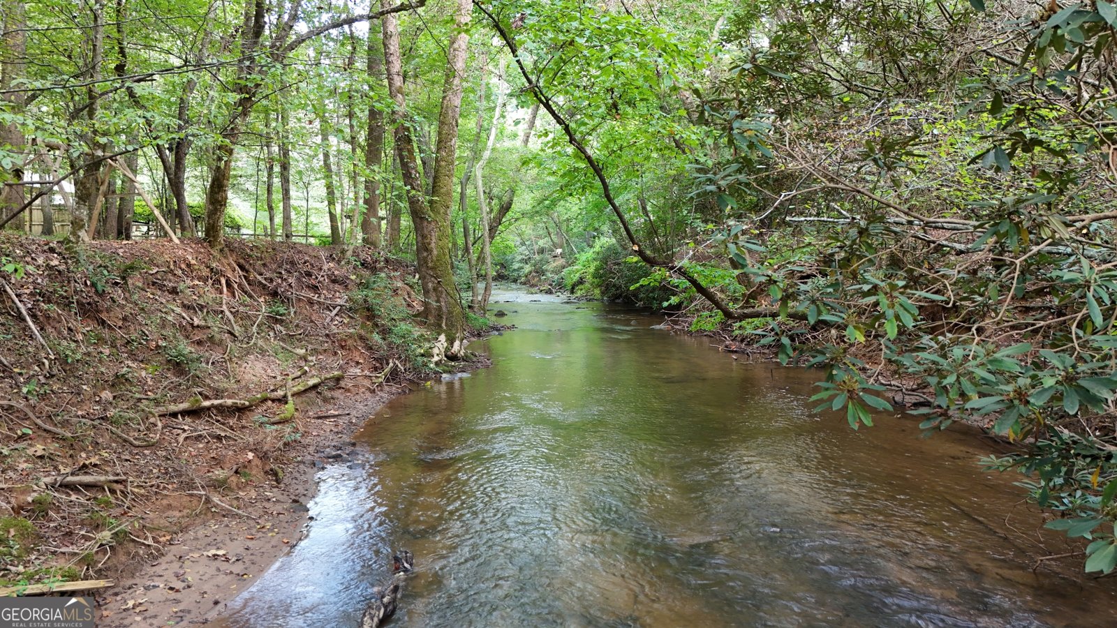 922 Amys Ford Trail Cleveland - 2