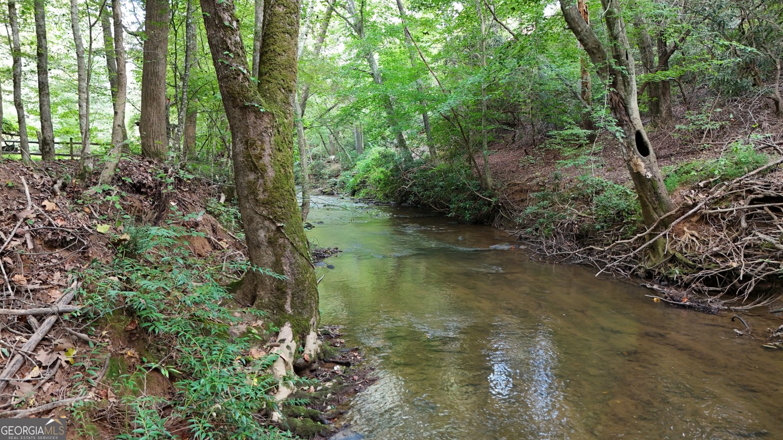 922 Amys Ford Trail Cleveland - 36