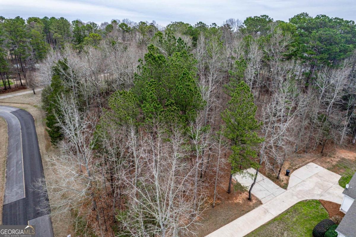 123 Chandler Drive Eatonton - 42