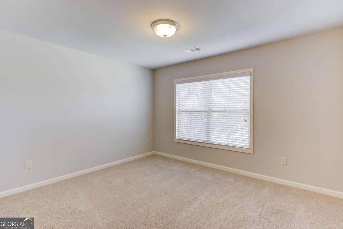 3271 Meadow Lily Court Buford - 20