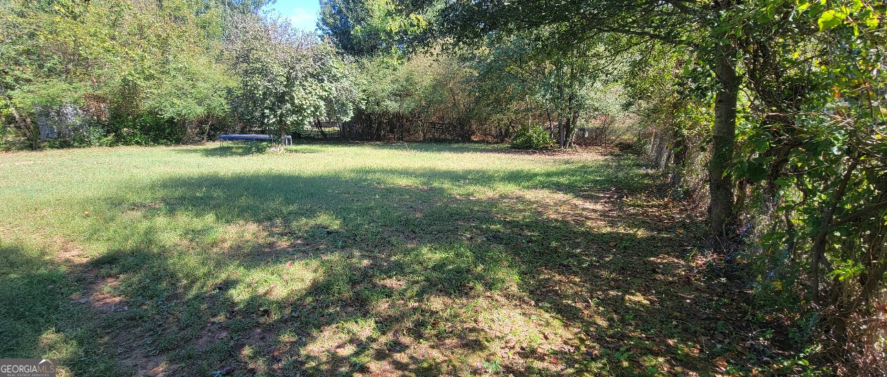 501 Lee Byrd Road Loganville - 3