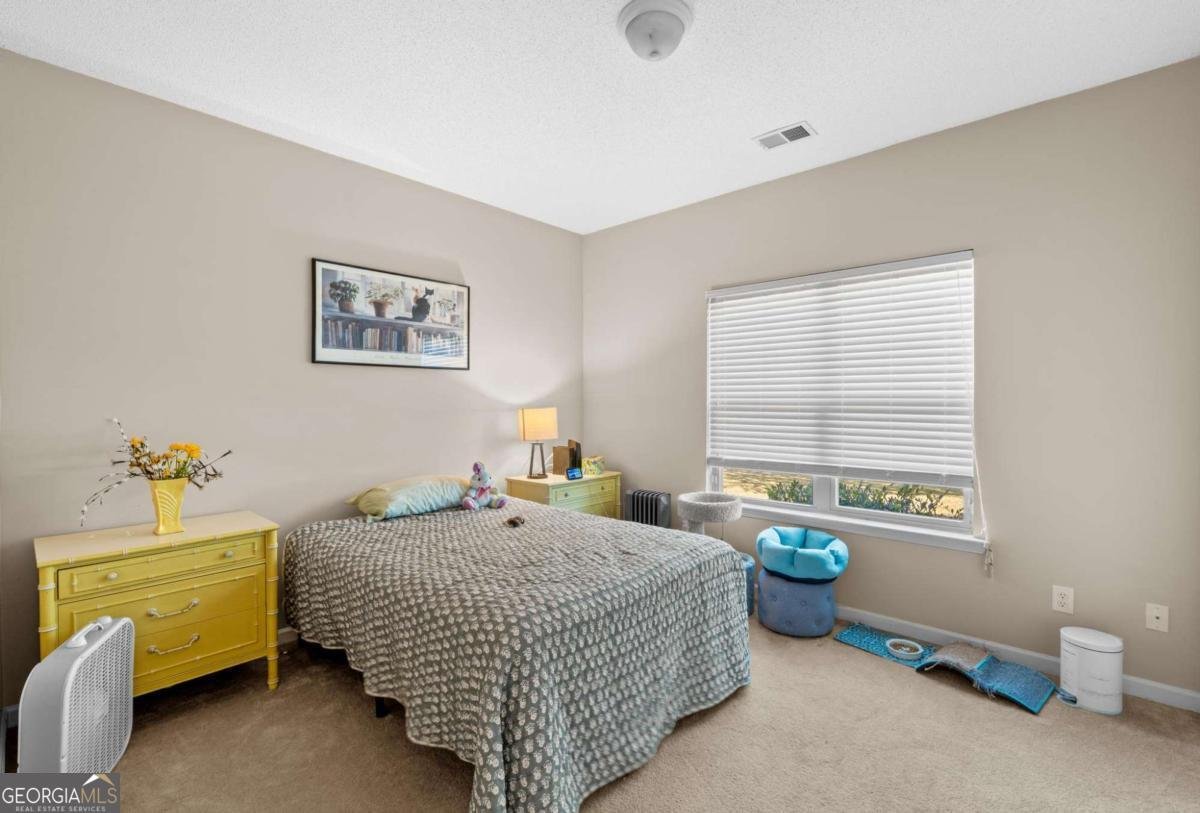 325 Brandish Drive Newnan - 26