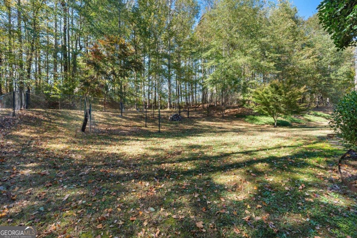 325 Brandish Drive Newnan - 38