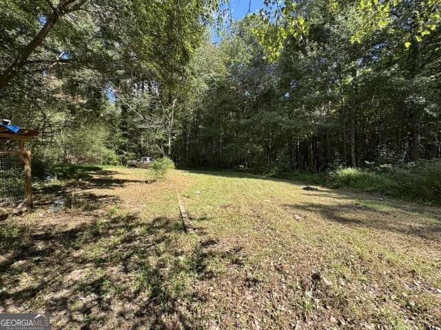 8684 Hickory Lane Lithia Springs - 30