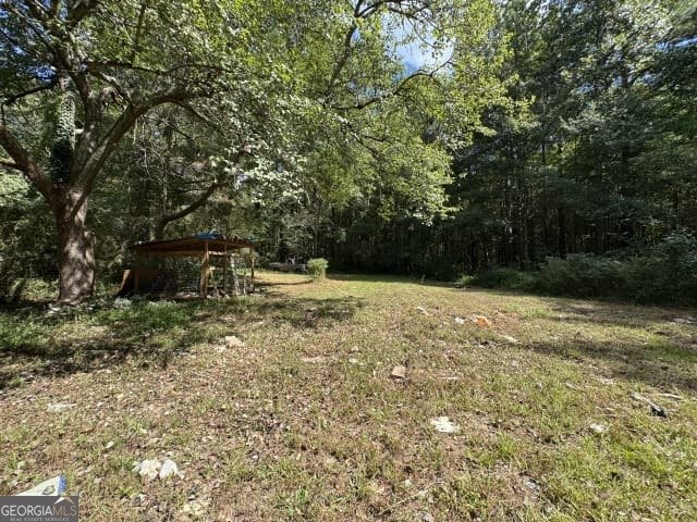 8684 Hickory Lane Lithia Springs - 31