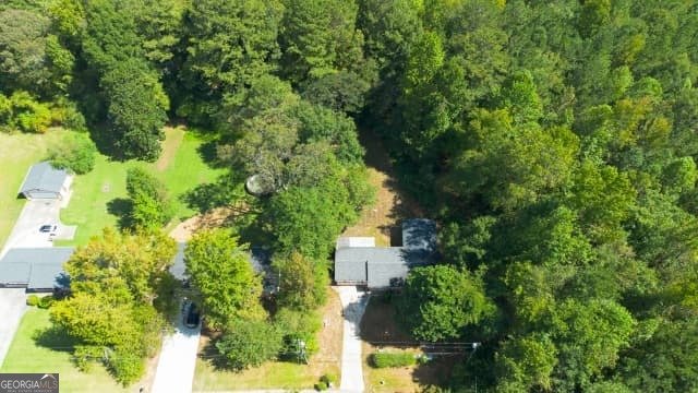 8684 Hickory Lane Lithia Springs - 9