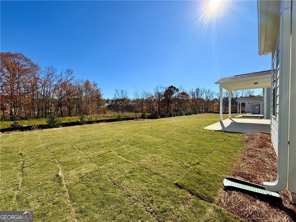 1682 Branch Creek Drive Cumming - 11