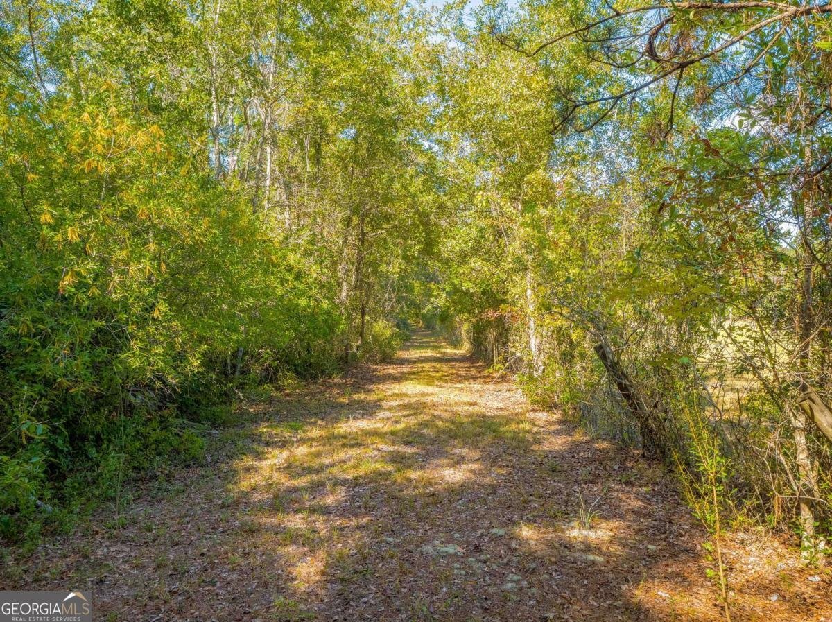 43 Dutch Road Hortense - 32