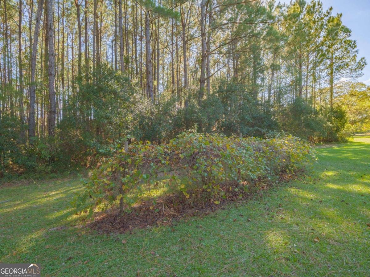 43 Dutch Road Hortense - 47