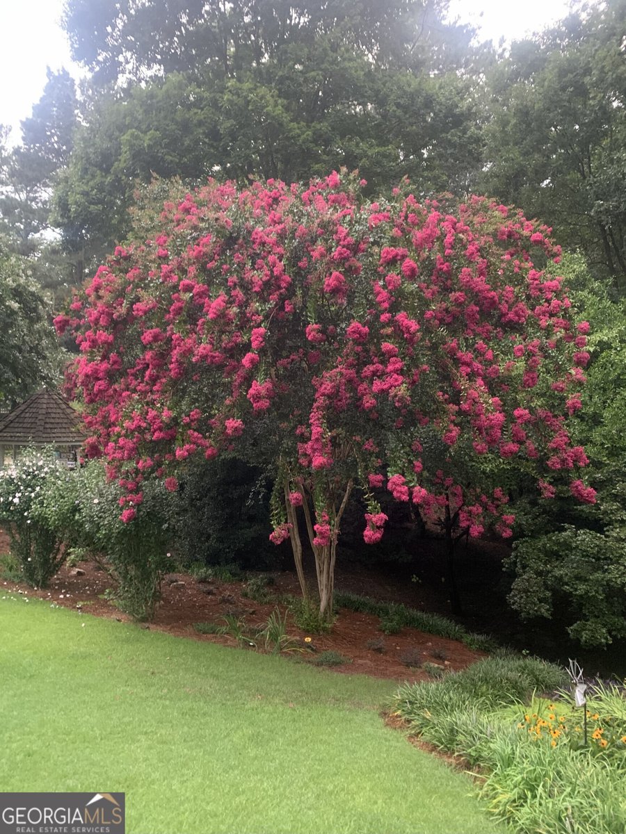 1700 Chartwell Trace Stone Mountain - 53