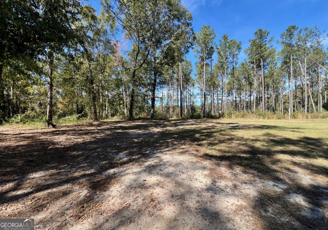 6055 Sunhill Grange Road Davisboro - 23