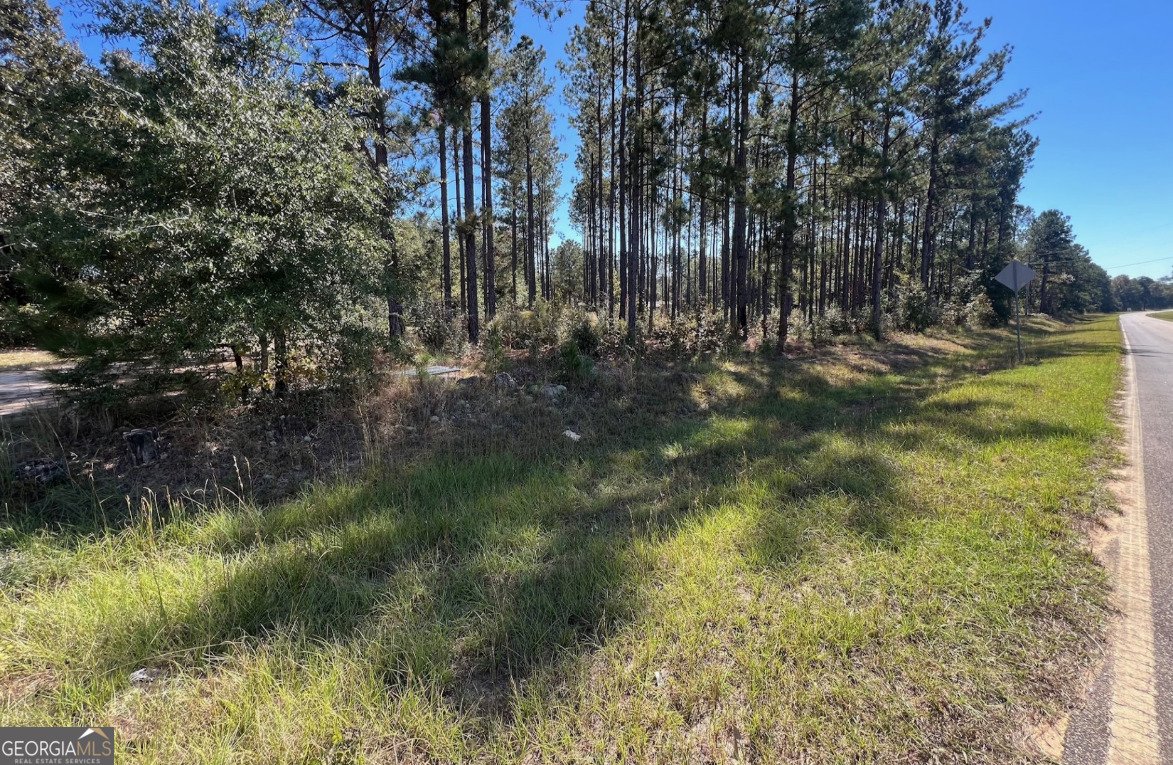 6055 Sunhill Grange Road Davisboro - Photo 26