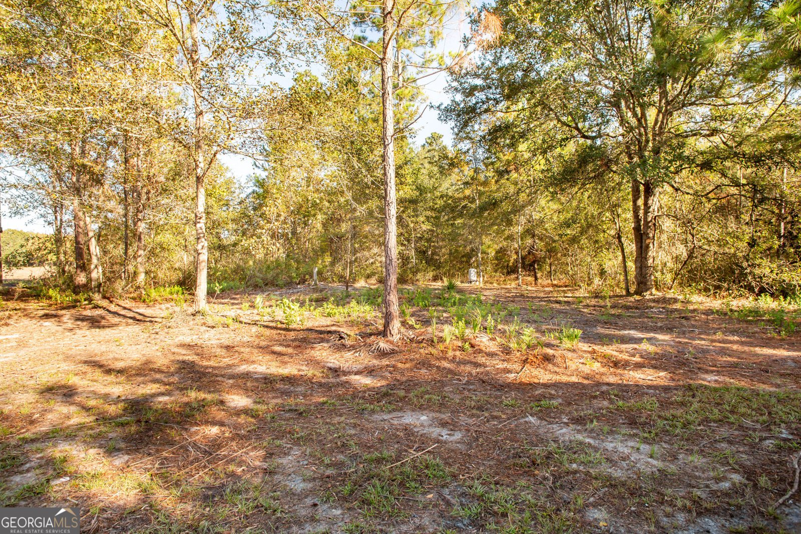 6005 Chancey Road Patterson - 22