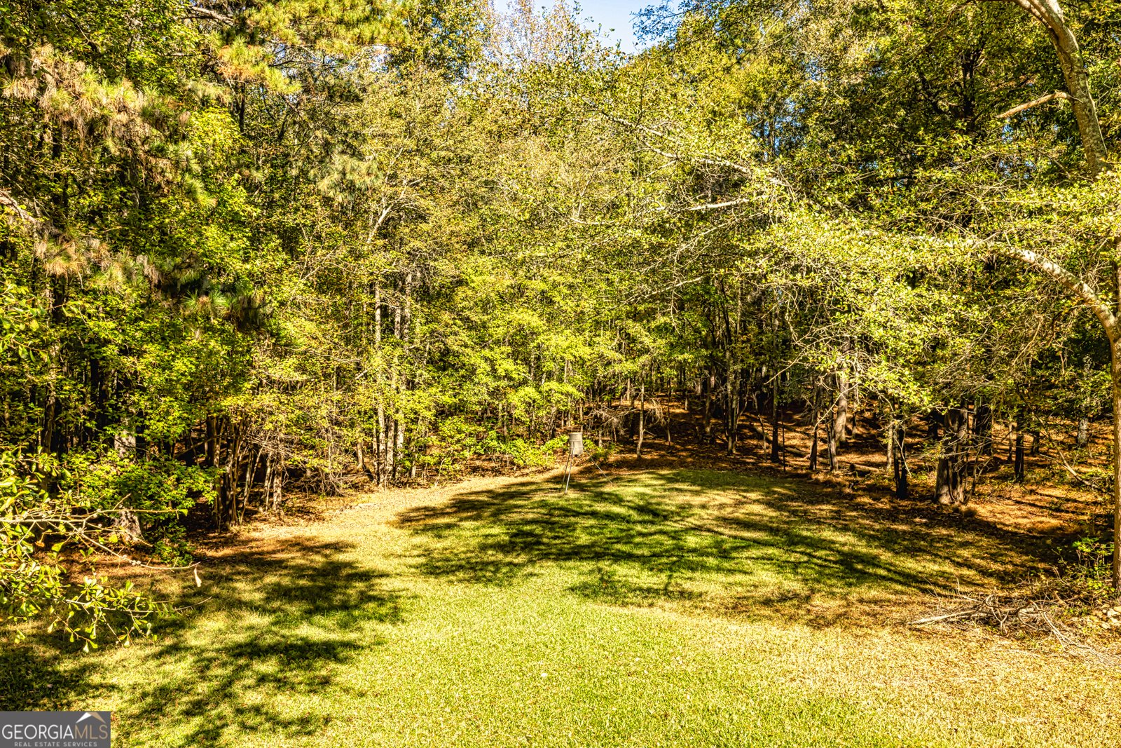 80 Shannon Road Newnan - 21