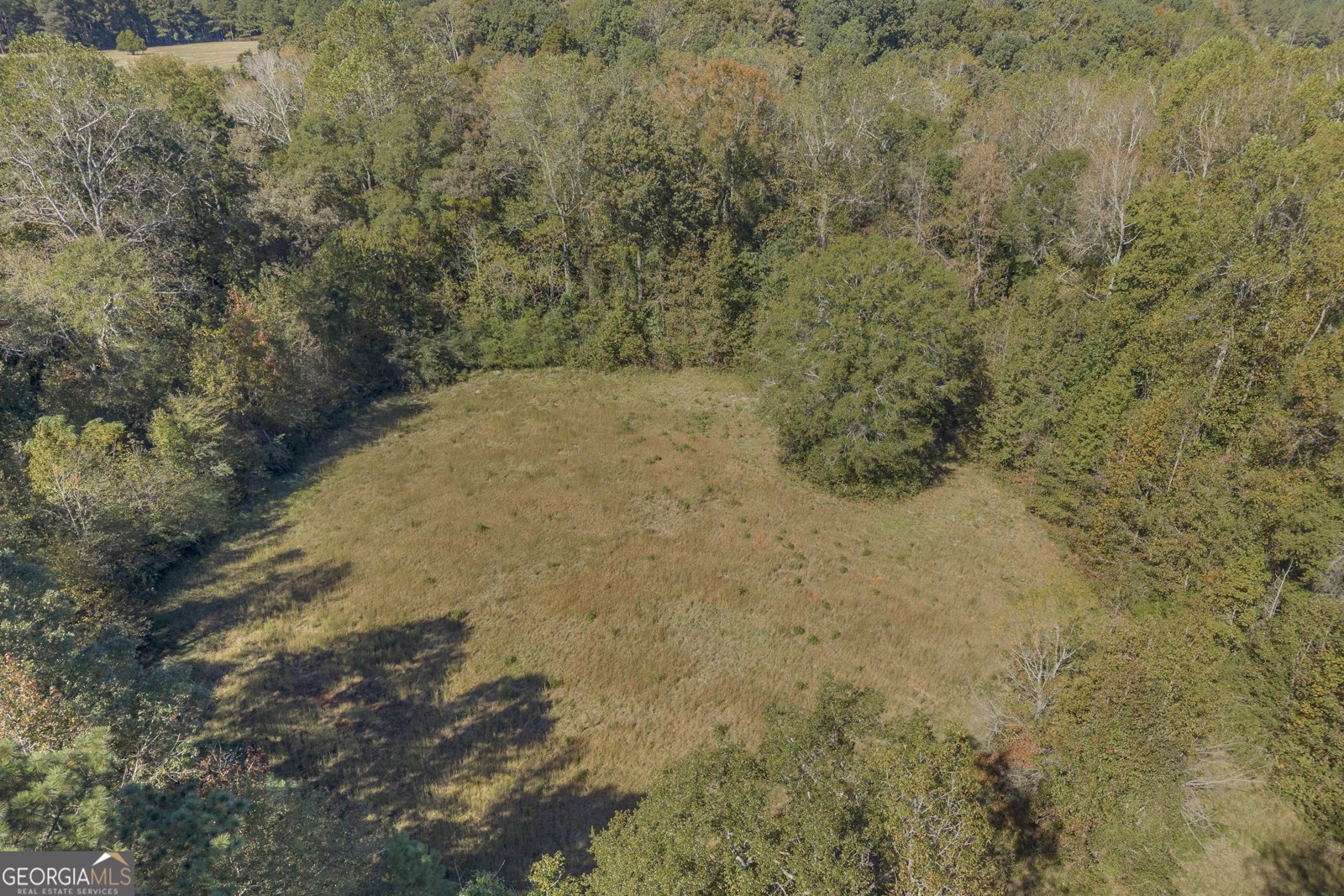 3446 Liberty Church Road Monticello - 33