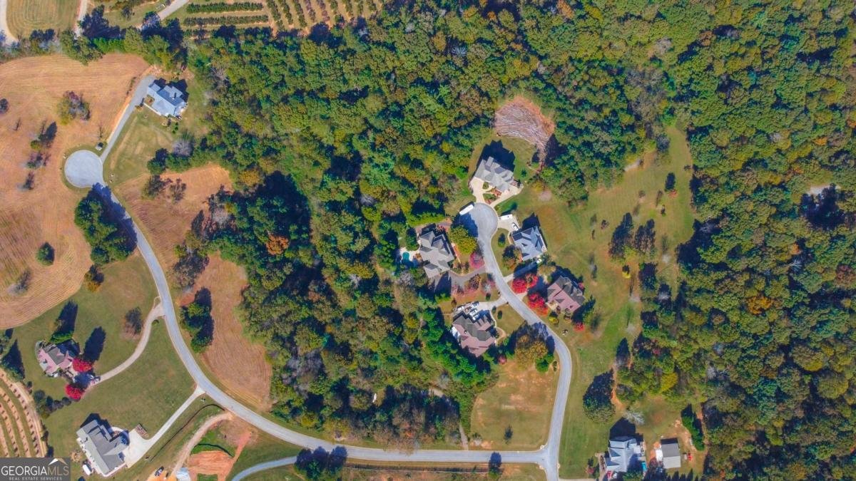 514 Ridgemont Drive Ellijay - 29