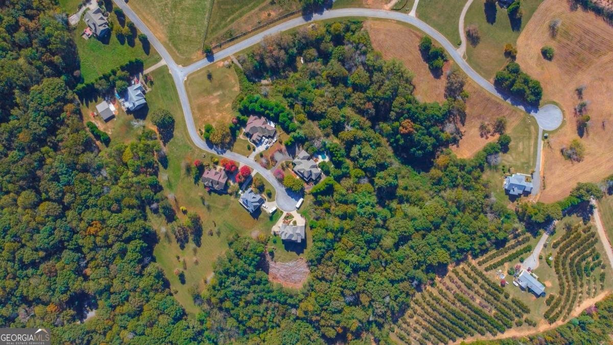 514 Ridgemont Drive Ellijay - 32