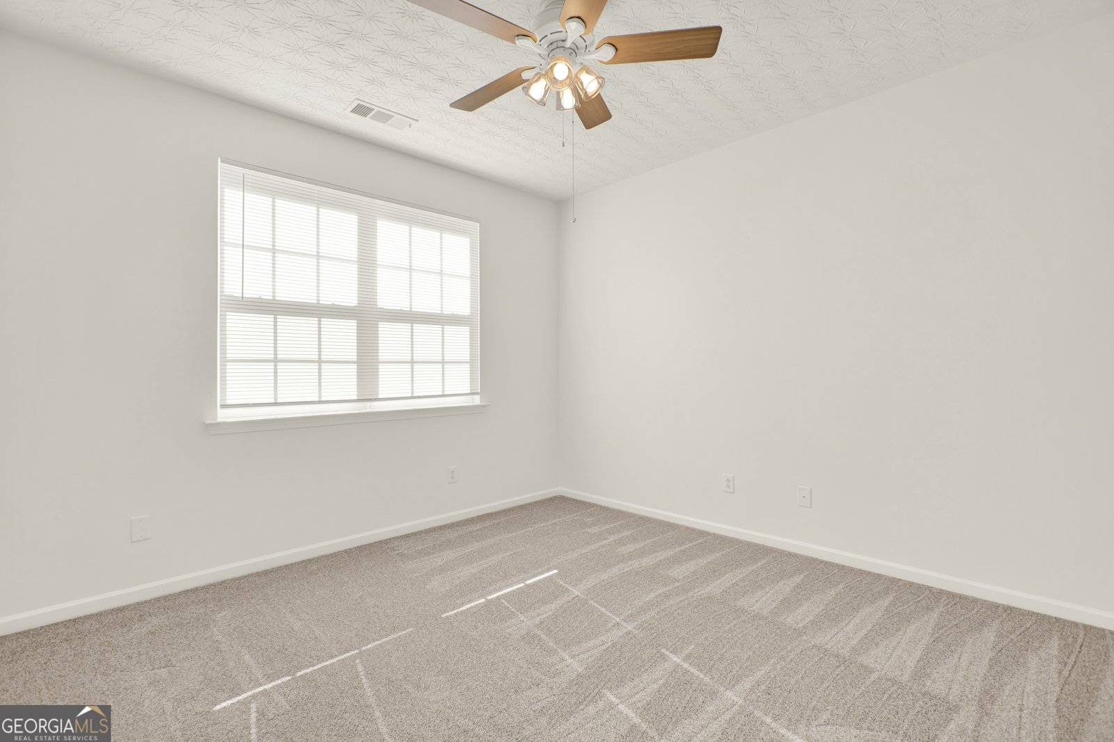 184 Swanee Lane Woodstock - Photo 33