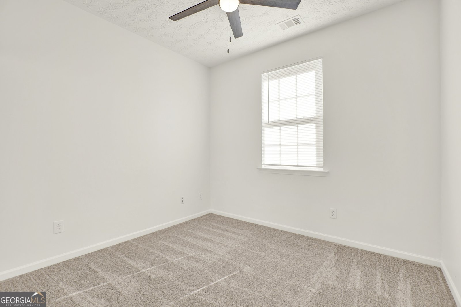 184 Swanee Lane Woodstock - Photo 36