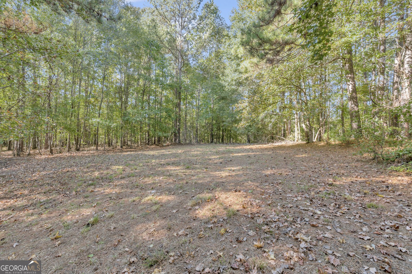 126 Jasons Ridge Griffin - 55