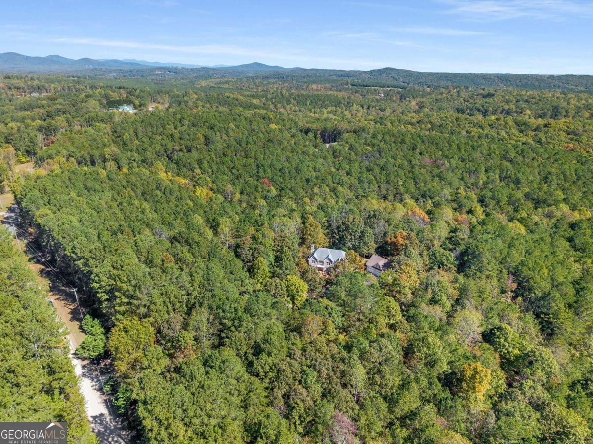 4200 Cherry Grove Road Ball Ground - 63