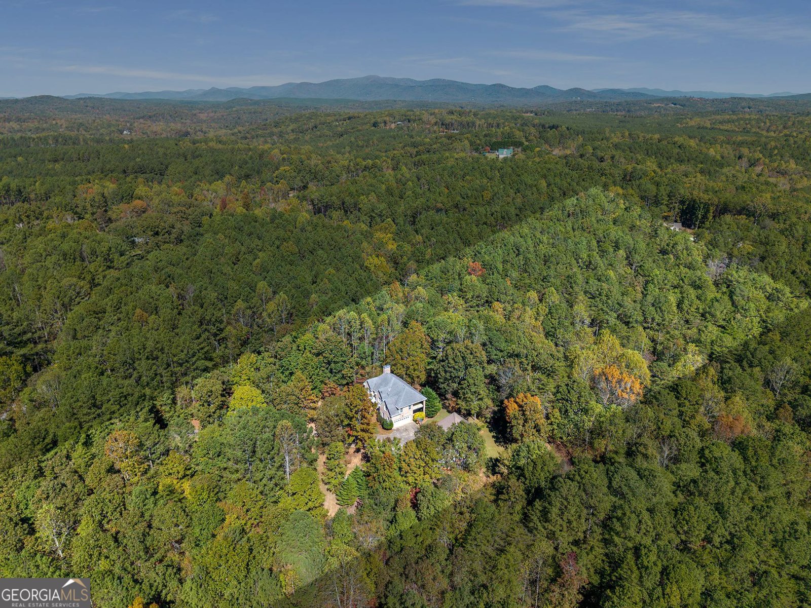 4200 Cherry Grove Road Ball Ground - 8