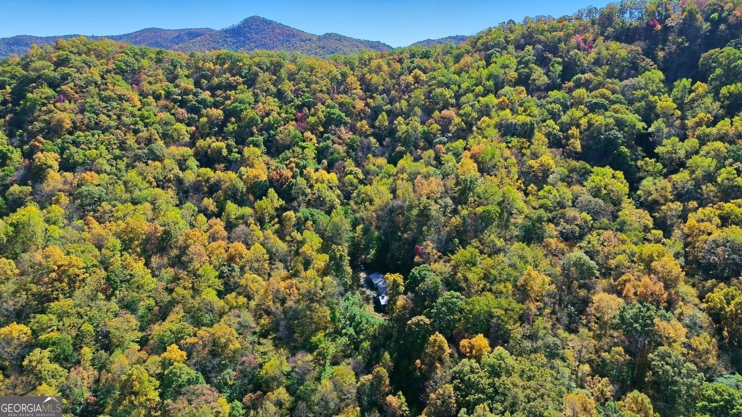 73 Redbird Lane Rabun Gap - 6