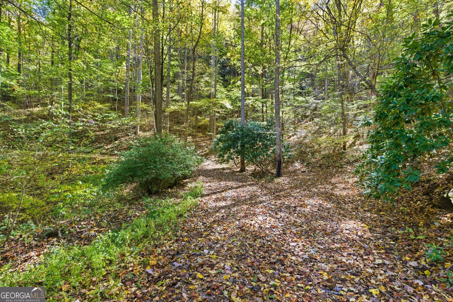 73 Redbird Lane Rabun Gap - 7