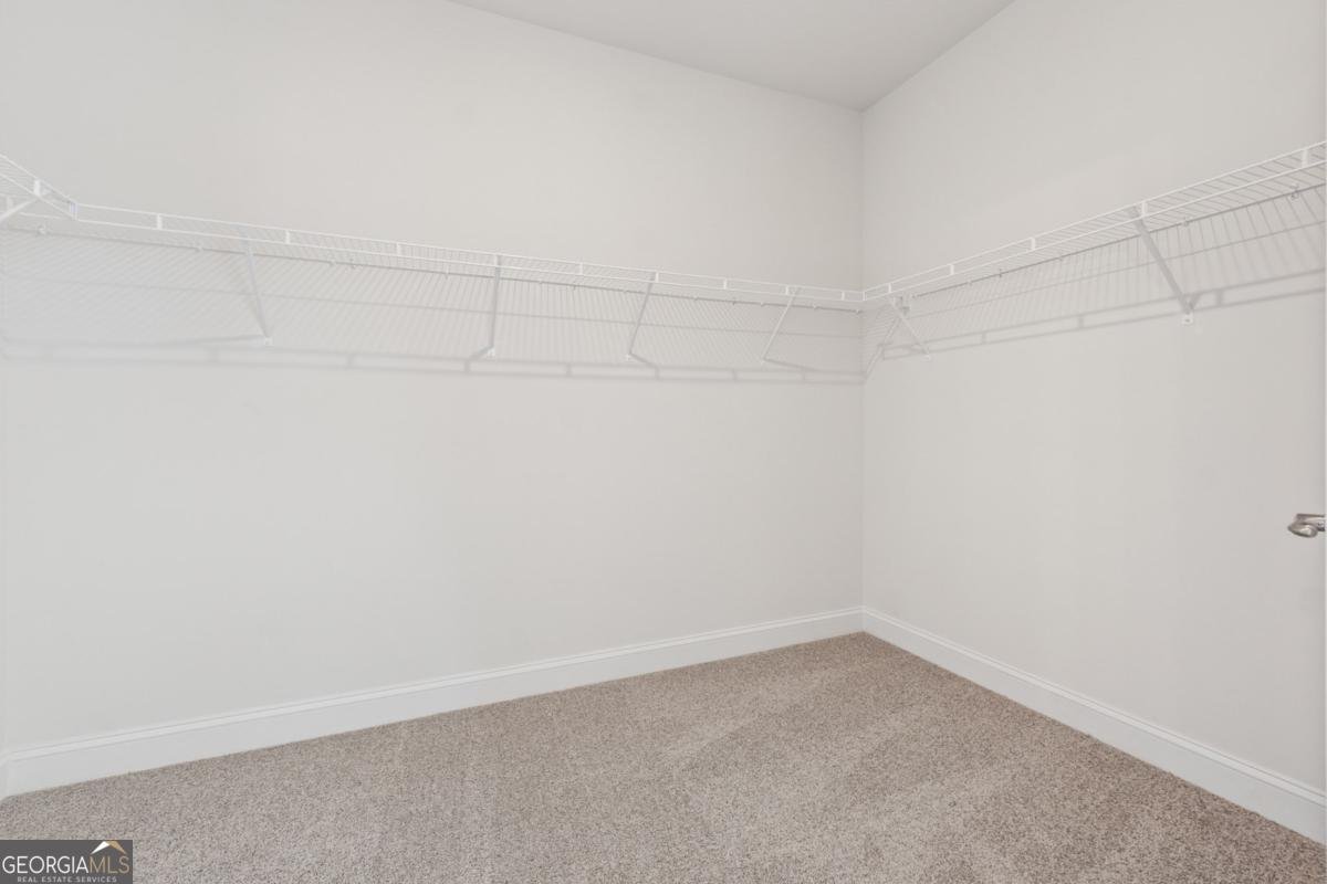 263 Eason Street Bowdon - 11