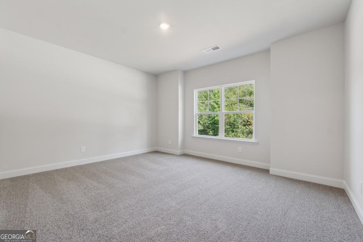 263 Eason Street Bowdon - 17