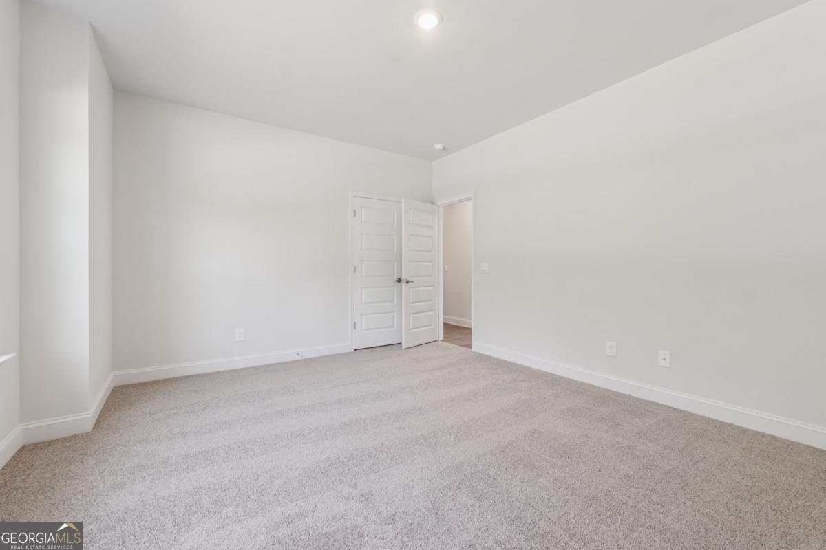 263 Eason Street Bowdon - 18