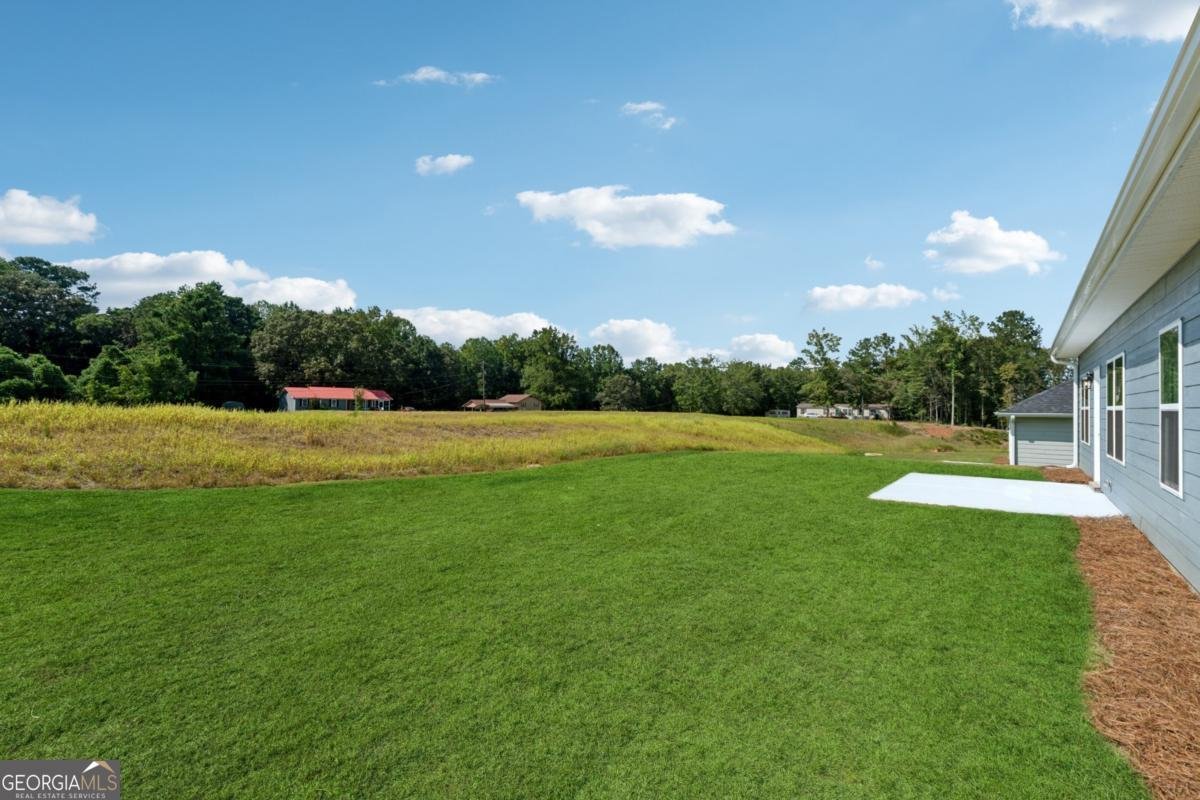 263 Eason Street Bowdon - 22