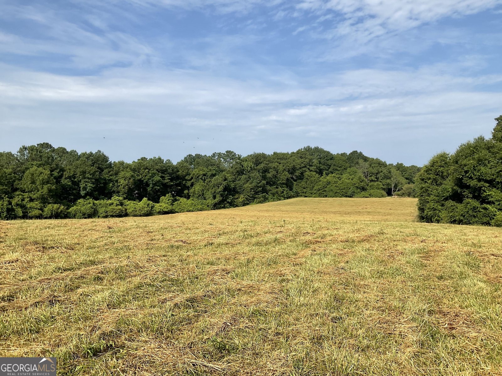 271 Trestle Road Locust Grove - 44