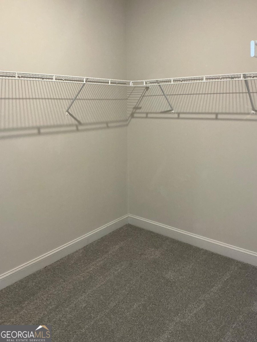 267 Eason Street Bowdon - 15