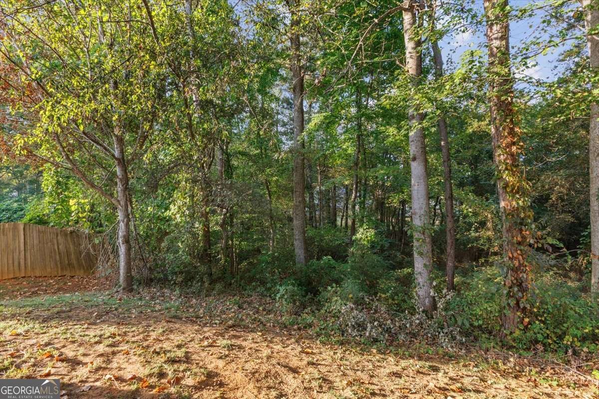 4280 Chads Park Drive Powder Springs - 37