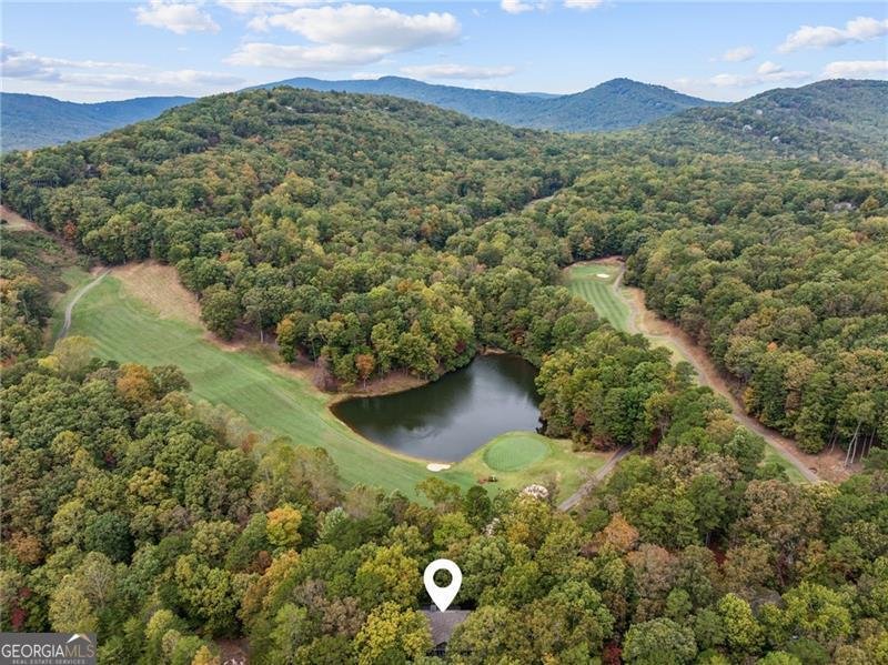 996 Wedgewood Drive Big Canoe - 38