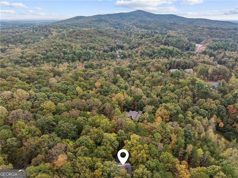 996 Wedgewood Drive Big Canoe - 40