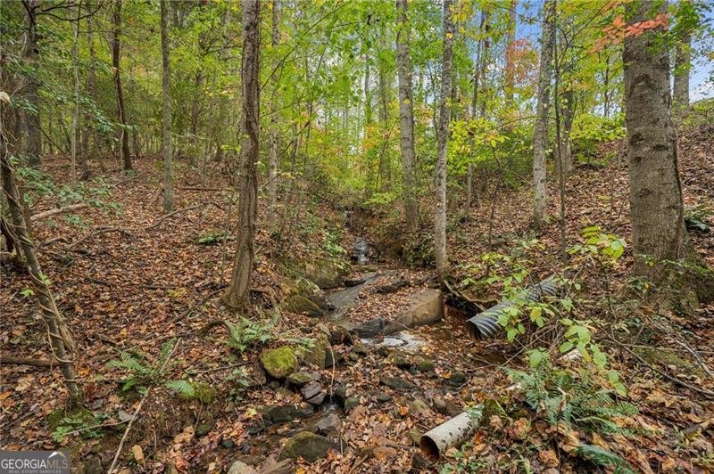 996 Wedgewood Drive Big Canoe - 51