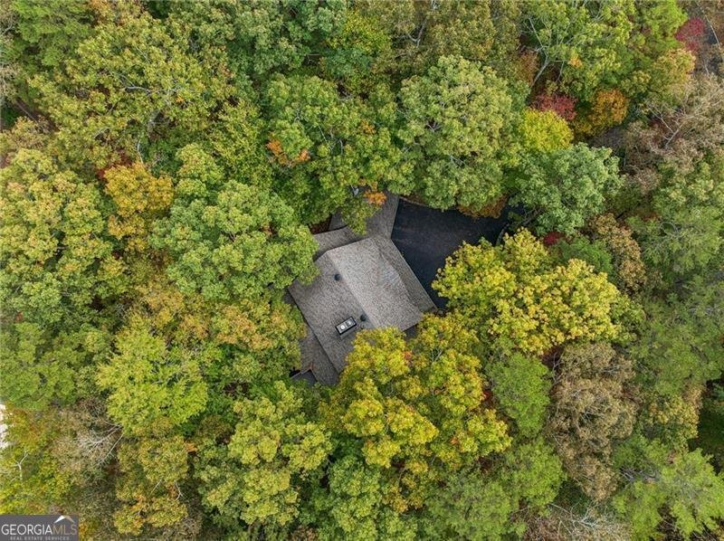 996 Wedgewood Drive Big Canoe - 57