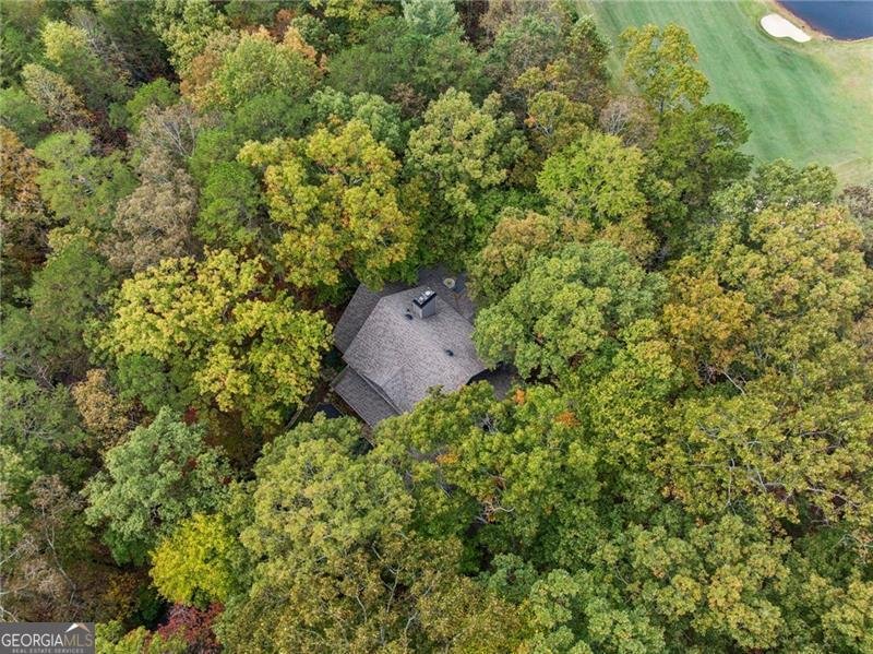 996 Wedgewood Drive Big Canoe - 59